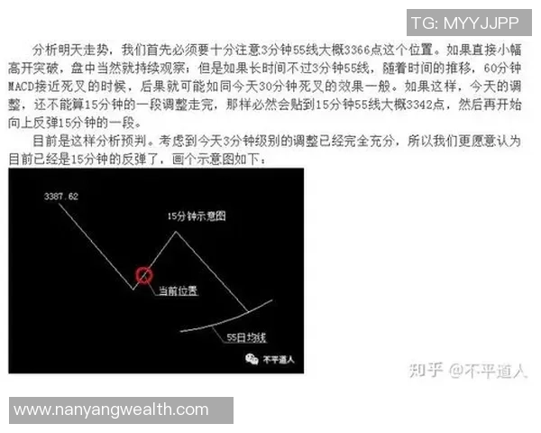 杭州足球队与深圳足球队赛后技术分析与战术复盘探讨