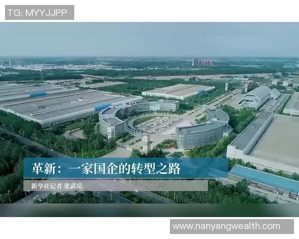 深圳篮球队防守革新之路探索与实践的深度剖析与启示