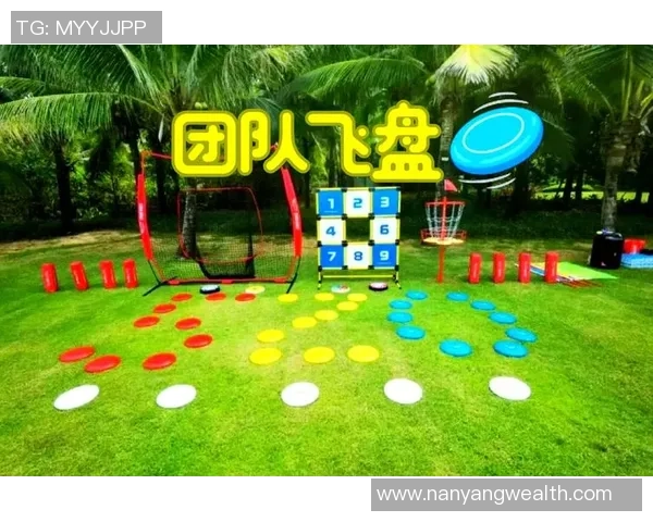 飞盘纪实：记录南京飞盘队的成长故事