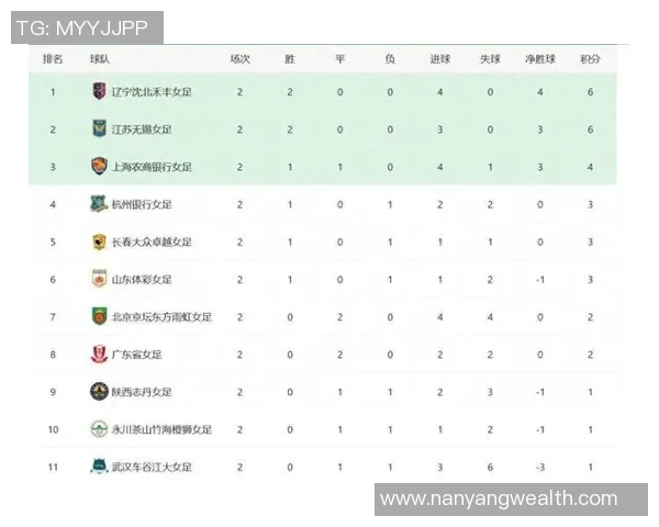 城市联赛积分榜:武汉排球队以63分领跑 城市联赛积分榜:武汉排球队以63分领跑
